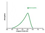 Vignette pour Phycocyanine