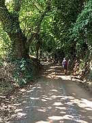 El camino después de salir de Montefiascone.