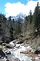 L'Aragó Subordán en la Selva de Oza.