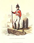 Private of the Royal Marines, 1815