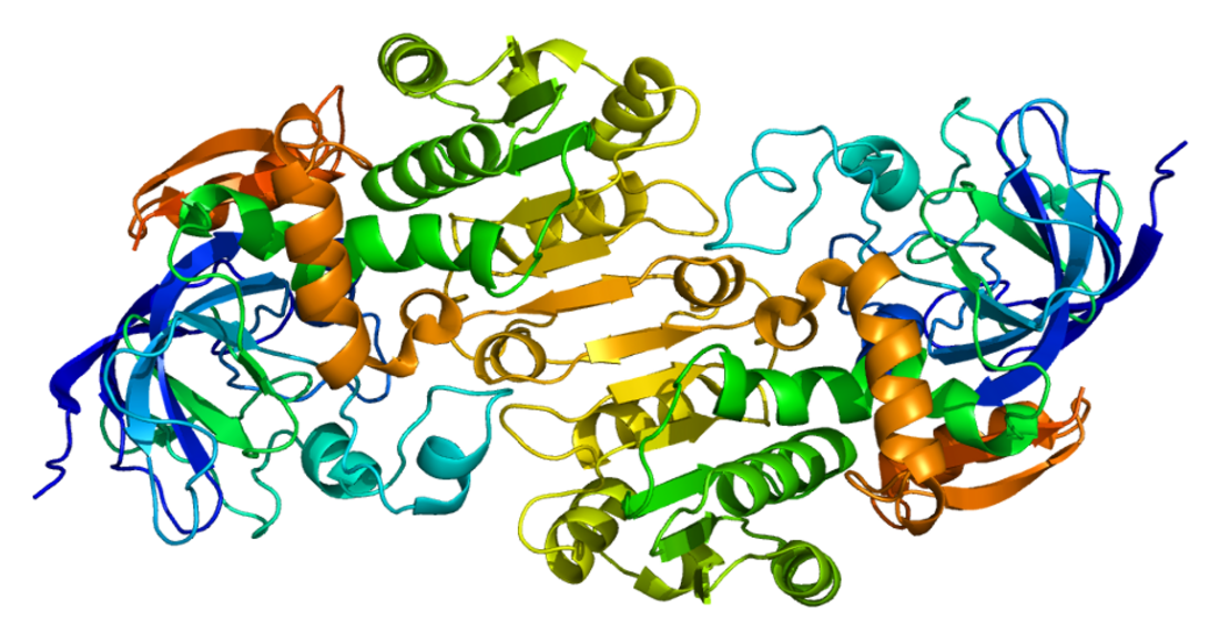 Alcoholdehydrogenase