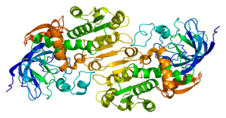 Alcohol dehydrogenase