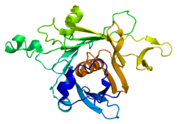 Ақуыз TUB PDB 1c8z.png