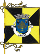 Bandeira de Lagoa