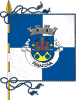 Bandeira do Município de Penacova