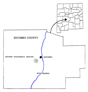 An outline of Socorro County with the Rio Grande, Socorro, and the Socorro Springsnail habitat clearly marked, also an insert with the County marked within the State of New Mexico