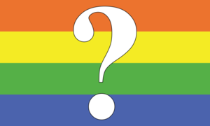 Questioning pride flag.png