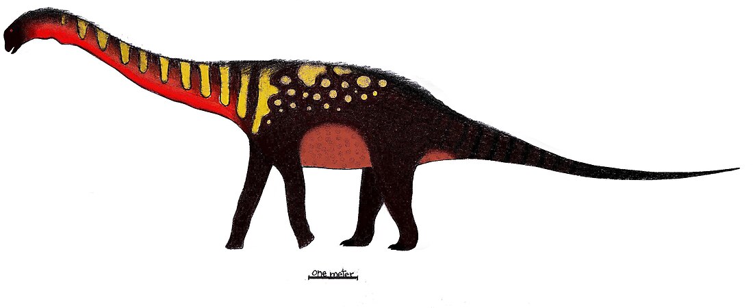 Quetecsaurus rusconii