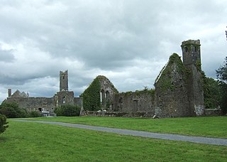 <span class="mw-page-title-main">Quin, County Clare</span> Village in County Clare, Ireland