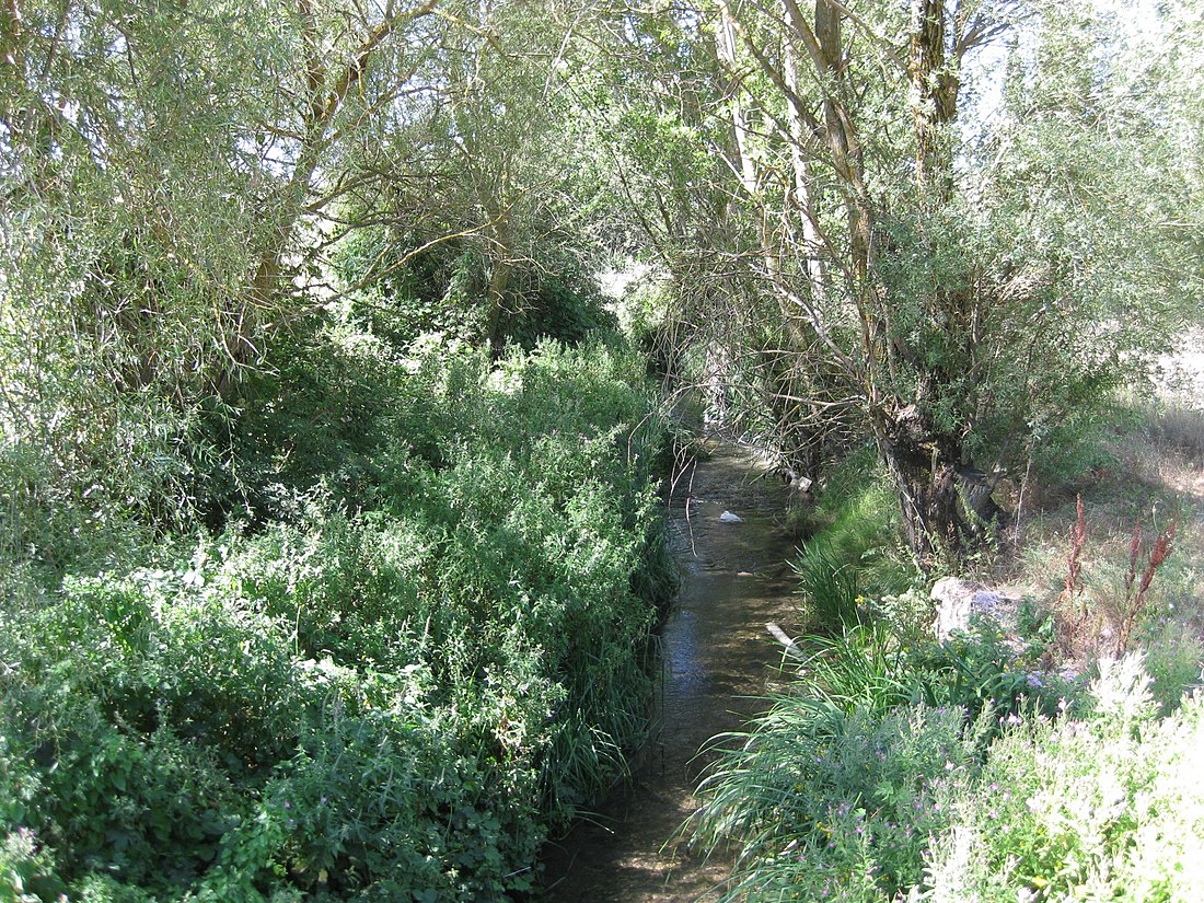 Río Arandilla (afluente del Duero)