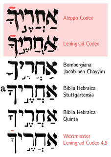 Rafe Diacritical mark used in Hebrew