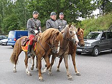 Historical re-enactment of early 20th century cavalry use of the Finnhorse. Model of uniforms is Finnish Cavalry m/22. Ratsumieskilta riders.jpg