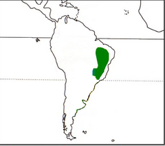 Mapa de distribuição da subespécie