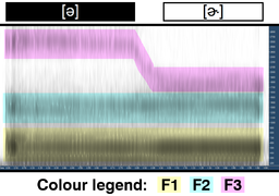 Rhoticity spectrogram.png