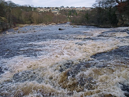 River Swale - geograph.org.uk - 1690986