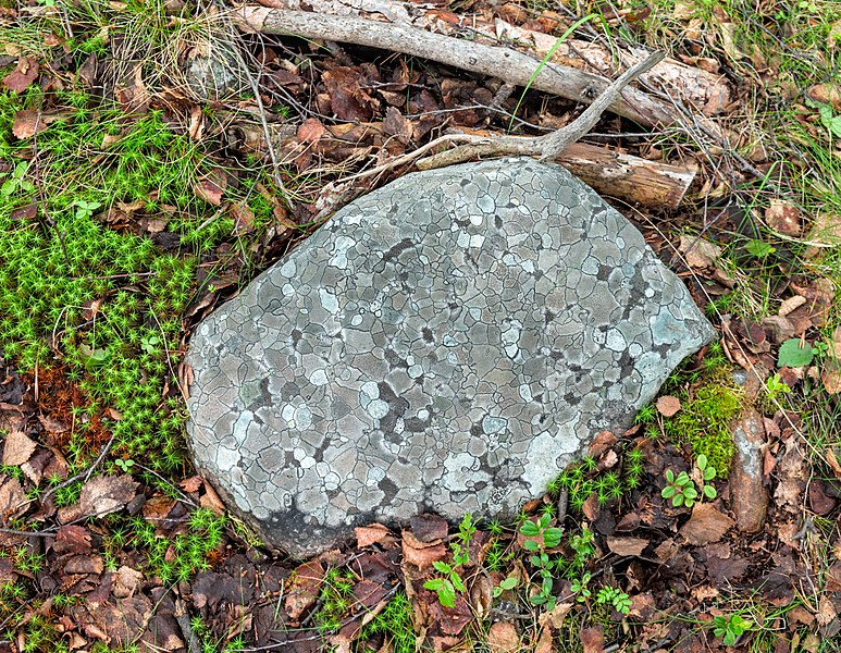File:Rock in Gällivare (DSCF0860).jpg