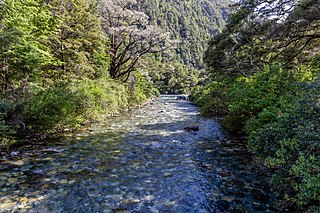 Rolling River River in New Zealand