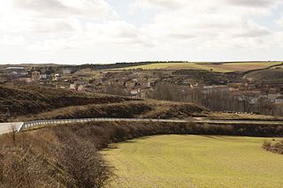 <span class="mw-page-title-main">Royuela de Río Franco</span> Municipality and town in Castile and León, Spain