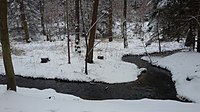 Čeština: Údolí Rudolfovského potoka, okres České Budějovice. English: Valley of Rudolfovský stream, České Budějovice District, South Bohemia, Czechia.