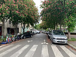 Rue Paturle