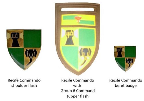 Знаки отличия коммандос Ресифи эпохи САДФ