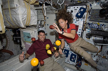 Sur le pont inférieur de la navette spatiale Endeavour dans le cadre de la mission STS-126.