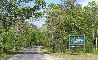 <span class="mw-page-title-main">Sag Harbor State Golf Course</span>