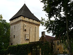Image illustrative de l’article Manoir de la Salle (Saint-Léon-sur-Vézère)