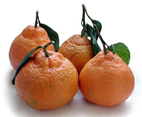 Mandarina