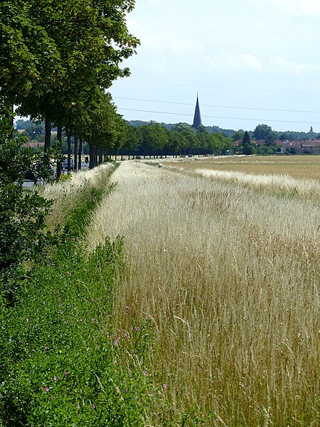 SauerbachBeibansleben BlickSchoeppenstedt