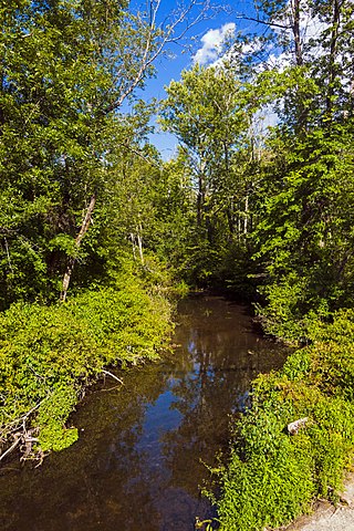 <span class="mw-page-title-main">Saw Kill (Hudson River tributary)</span> River in New York, United States