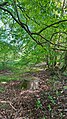 Quelle der Schulau im Wald bei Husbyries