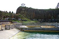 Seal pens at Deep Sea World. Seal pens at Deep Sea World - geograph.org.uk - 1296542.jpg