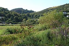 The view from sensory garden Seaton Valley.jpg
