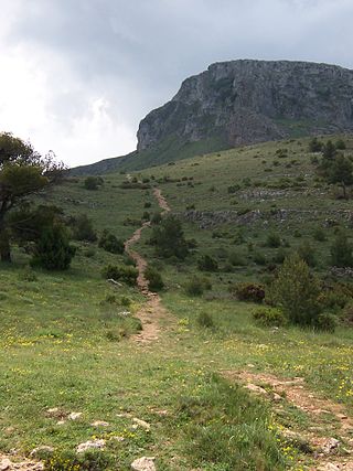 <span class="mw-page-title-main">Serra Mariola Natural Park</span> Nature reserve in mountains in the Valencian Community, Spain