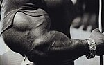 Thumbnail for Sergio Oliva