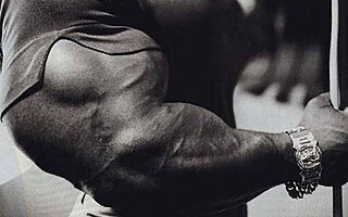 <span class="mw-page-title-main">Sergio Oliva</span> Cuban bodybuilder (1941–2012)