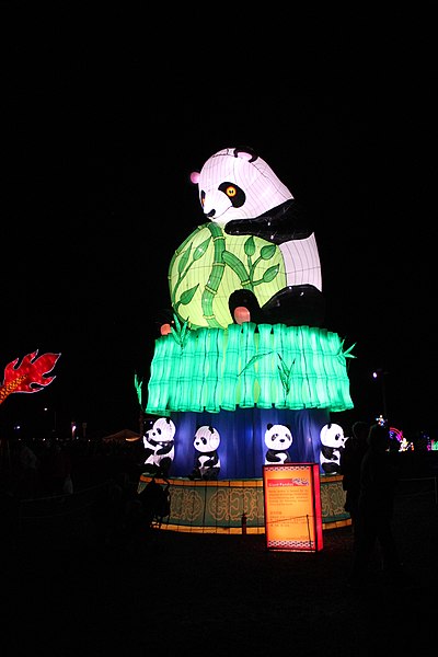 File:Shakopee Lantern Light Festival - Panda Oct 2017.jpg