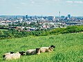 Miniatuur voor Bestand:Skyline Panorama Dortmund.jpg