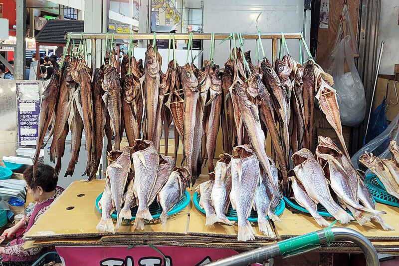 File:Sokcho Central Market 04.jpg