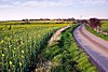 South of Water Newton - geograph.org.uk - 393991.jpg