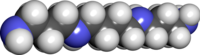 Spacefill-modelo de spermino