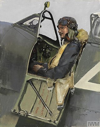 <span class="mw-page-title-main">James Hayter (RAF officer)</span> New Zealander flying ace