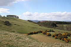 St Fort Tepesi - geograph.org.uk - 153639.jpg