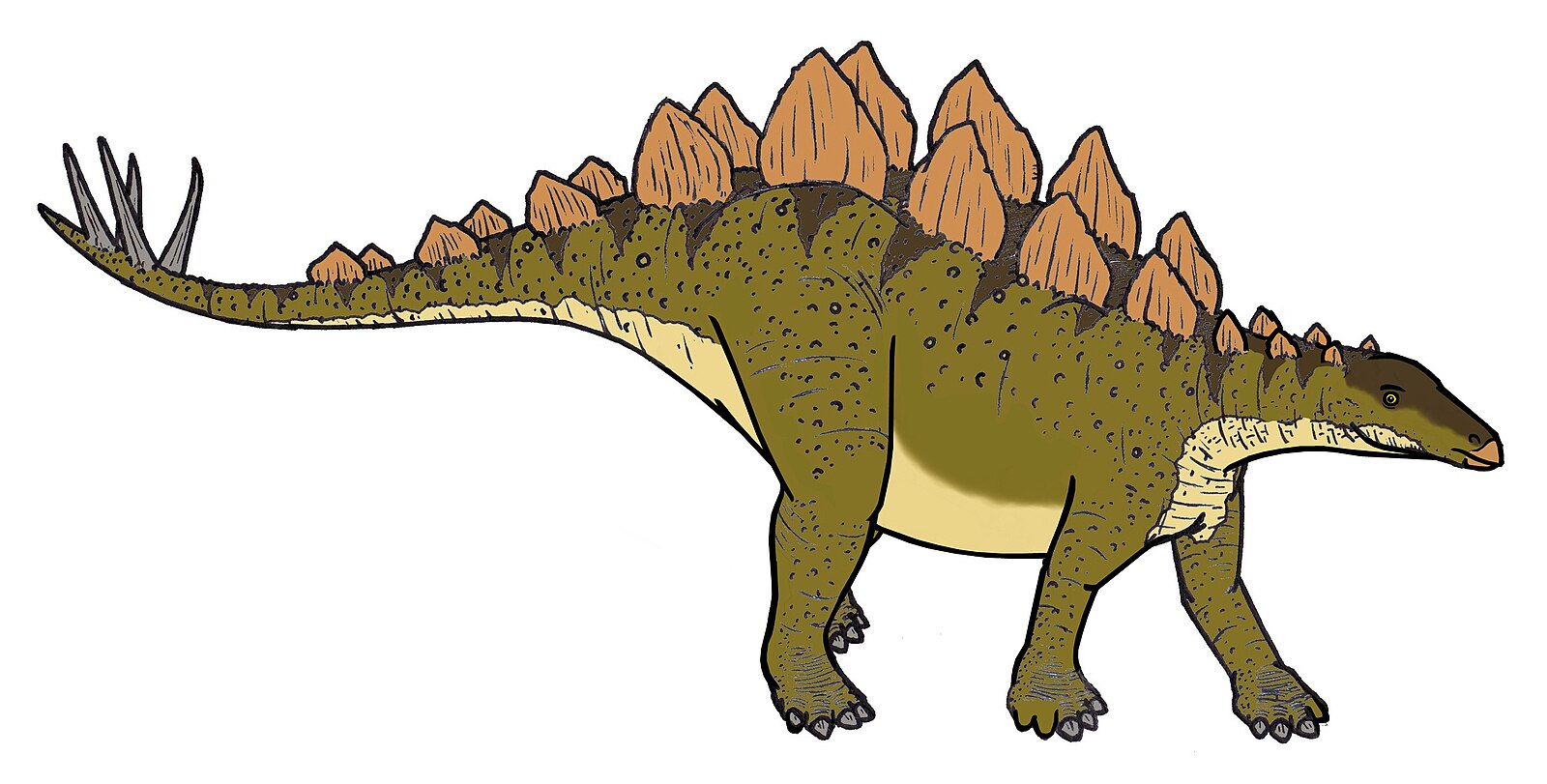 Stegosaurus Rex группа