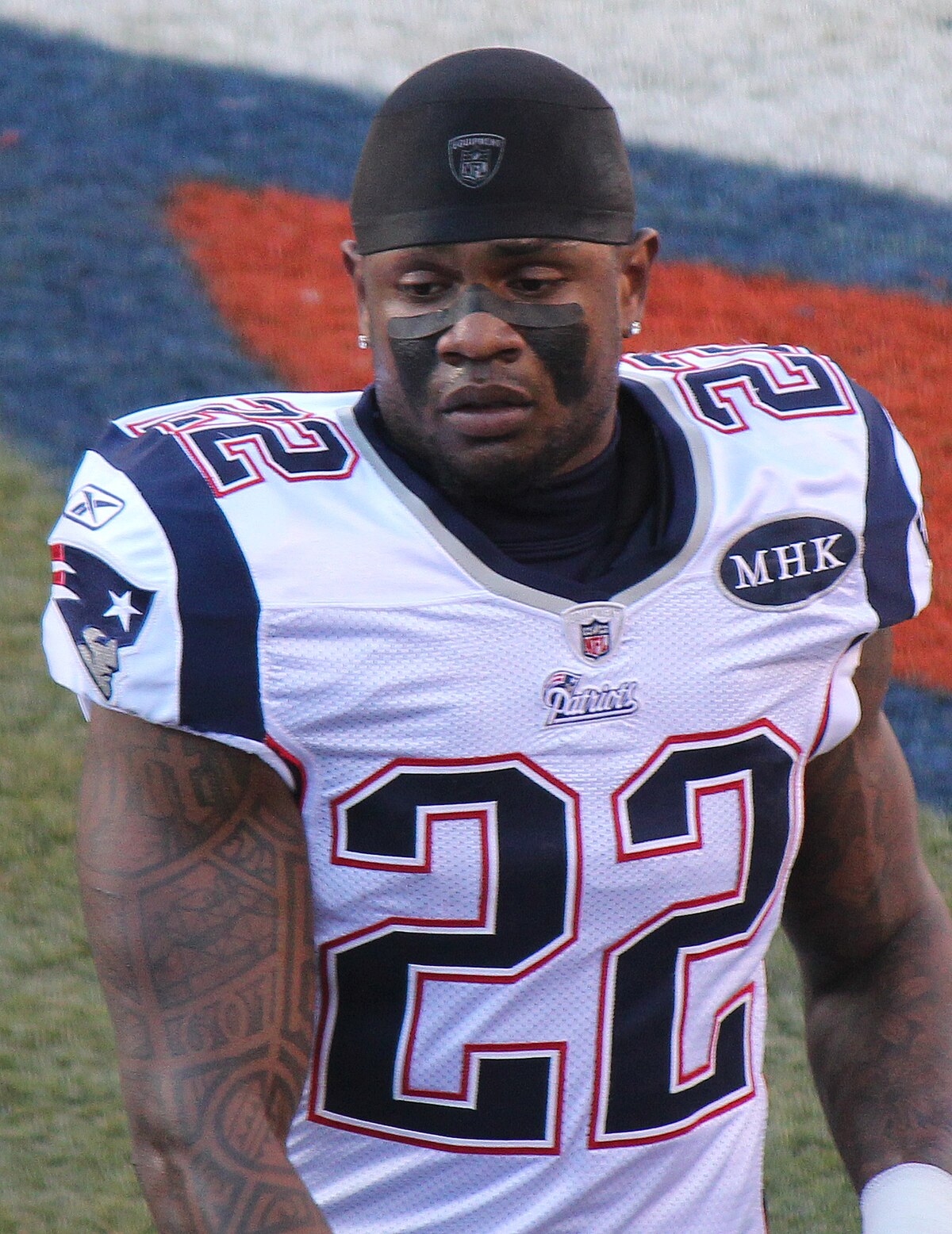 stevan ridley jersey