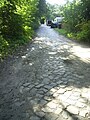 Noch liegt die Straße Am Weißenberge eher verwunschen im Schatten des stark frequentierten Maienweges, aber bald soll dort ein Wohngebiet entstehen.