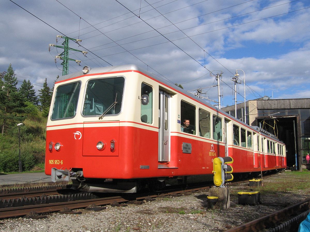 Orange emu. CSD Emu sm488.