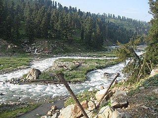 <span class="mw-page-title-main">Rambi Ara</span> River and tributary of Jhelum River in Jammu and Kashmir, India