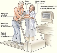 Treadmill exercise stress testing Stress test NIH.jpg